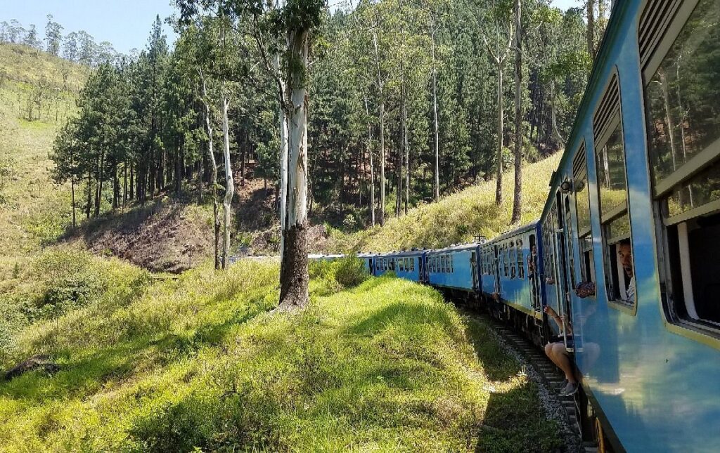 Trains Are the Green Choice for Your Next Journey