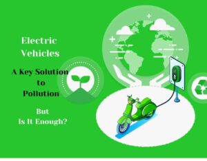 Electric Vehicles A Key Solution to Pollution But Is It Enough?