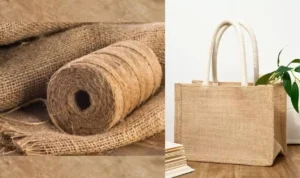 Jute: A Sustainable Choice for the Future