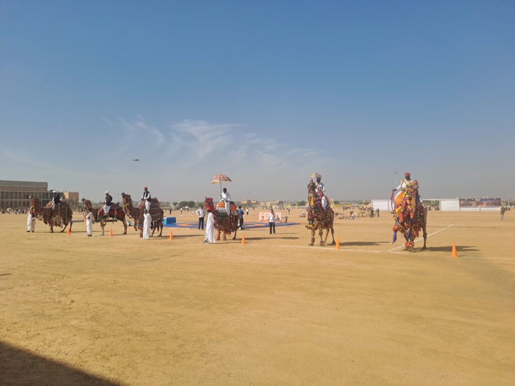 Maru Mahotsav 2025 featured camel activities and folk performances