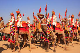 Grace and Glory of the Desert: Adorned camels steal the show at Maru Mahotsav 2025